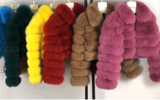 Shayla Cropped With Collar.